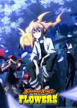 Король шаманов онлайн